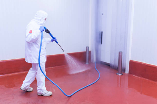 Best Dumpster Area Cleaning  in Port Neches, TX